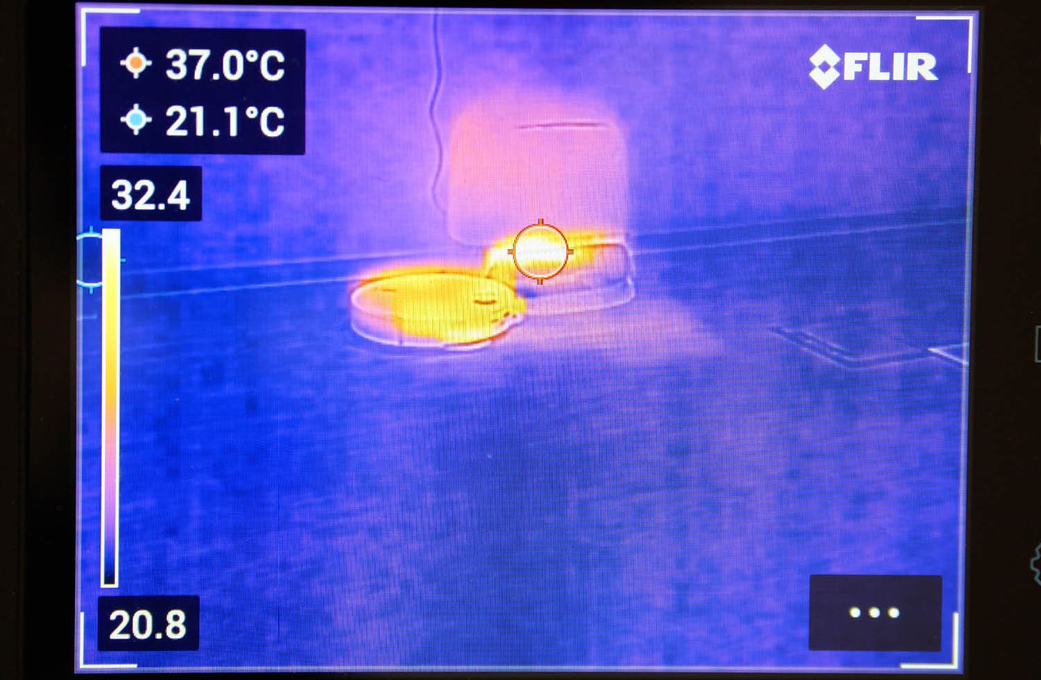 Roborock Qrevo Curv 2 Pro Wischen warm