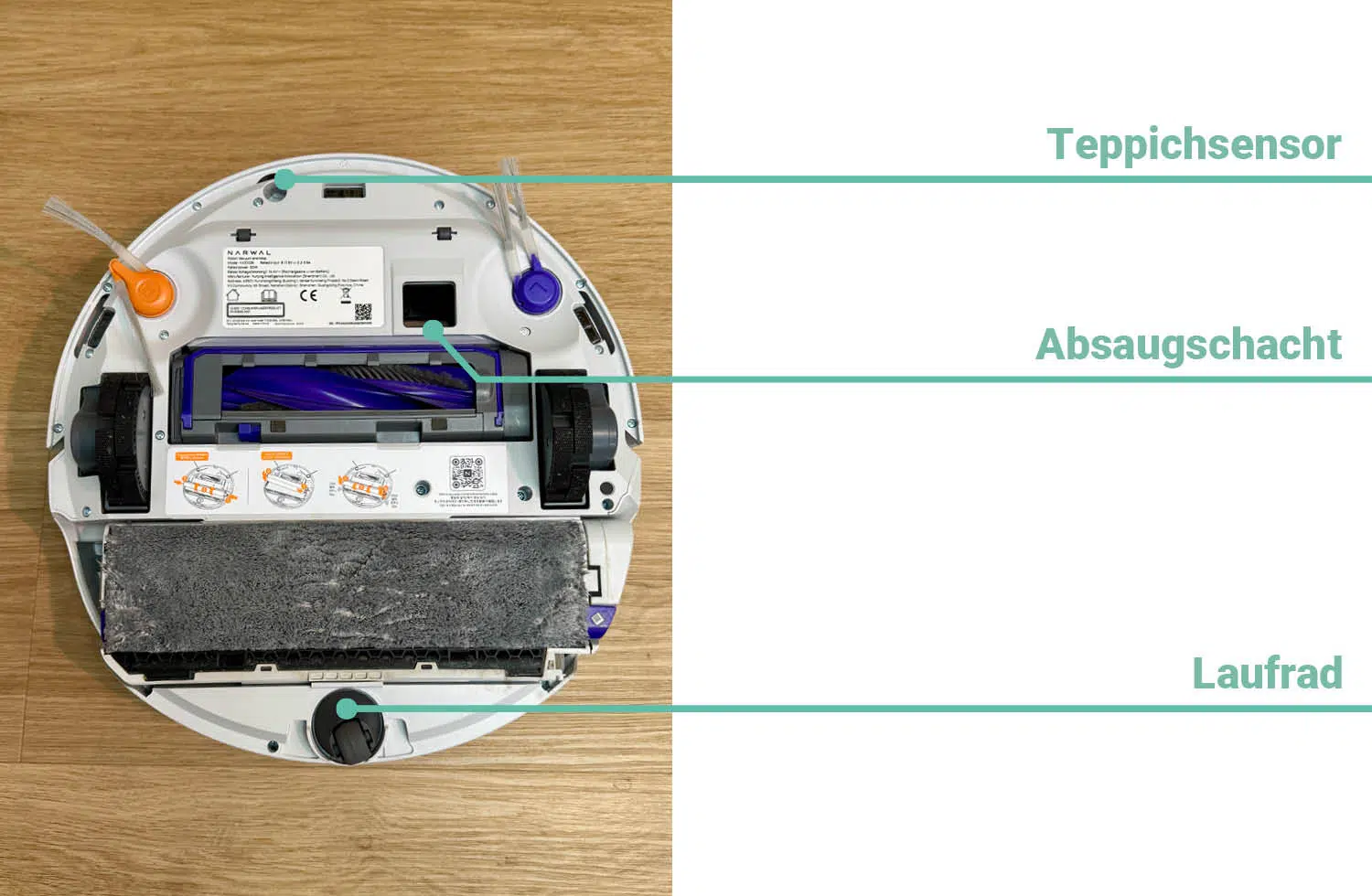 Narwal Flow Design Unterseite