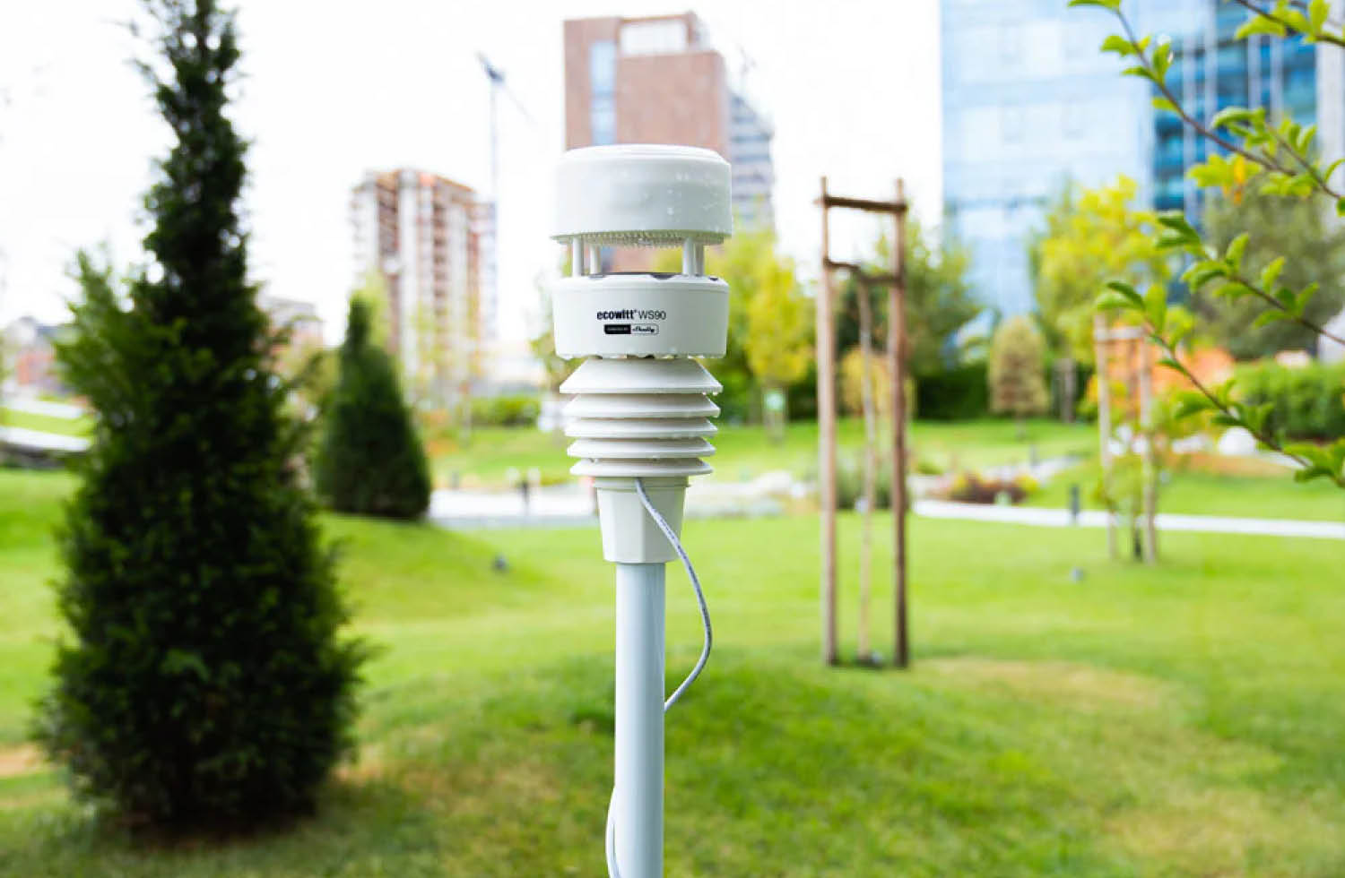 Shelly Wetterstation Bild