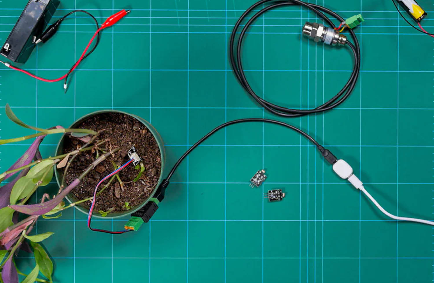 The Pill by Shelly Bild