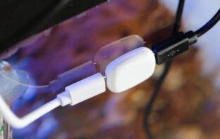 The Pill by Shelly News