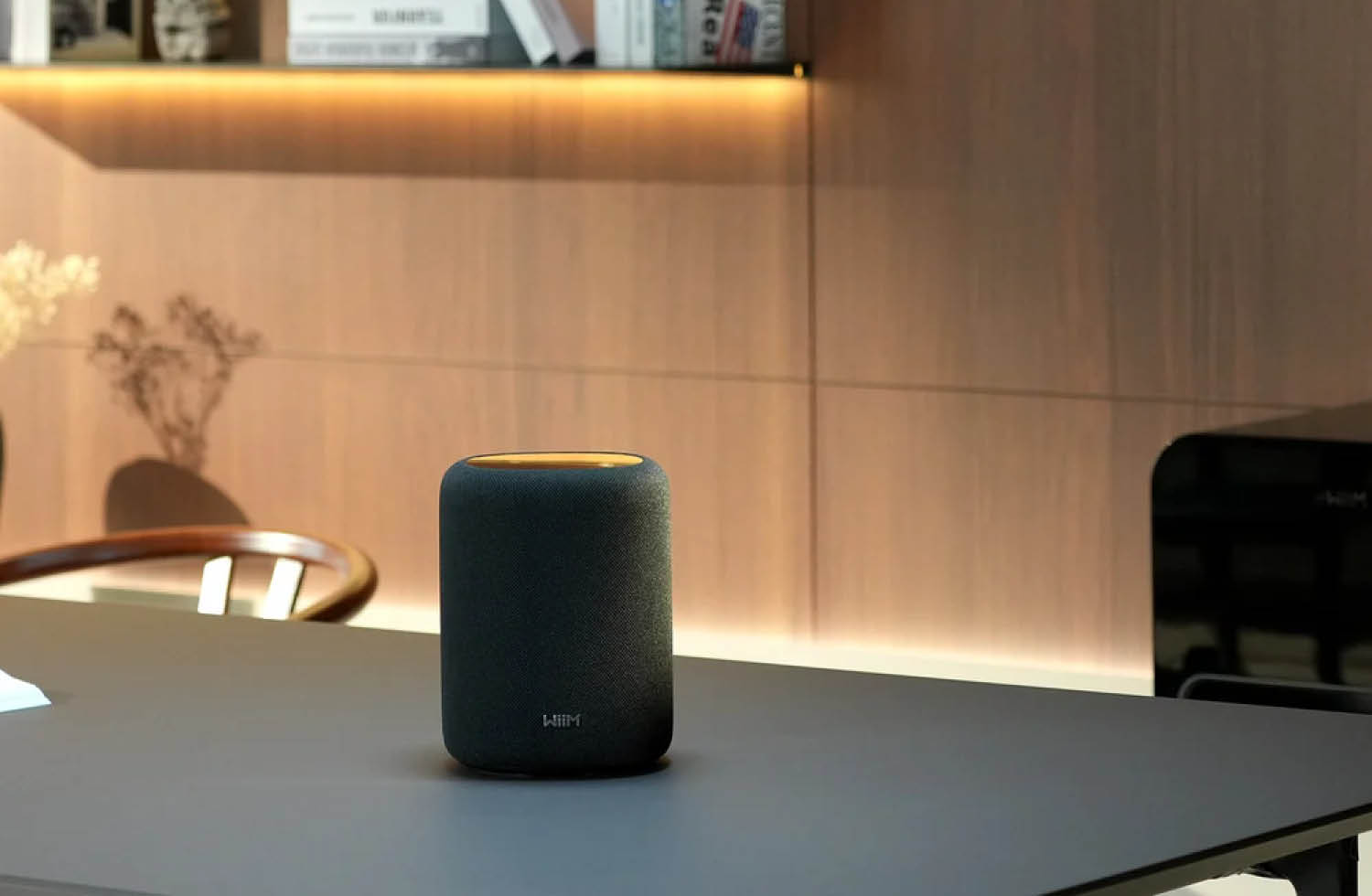 WiiM Sound Lite Bild