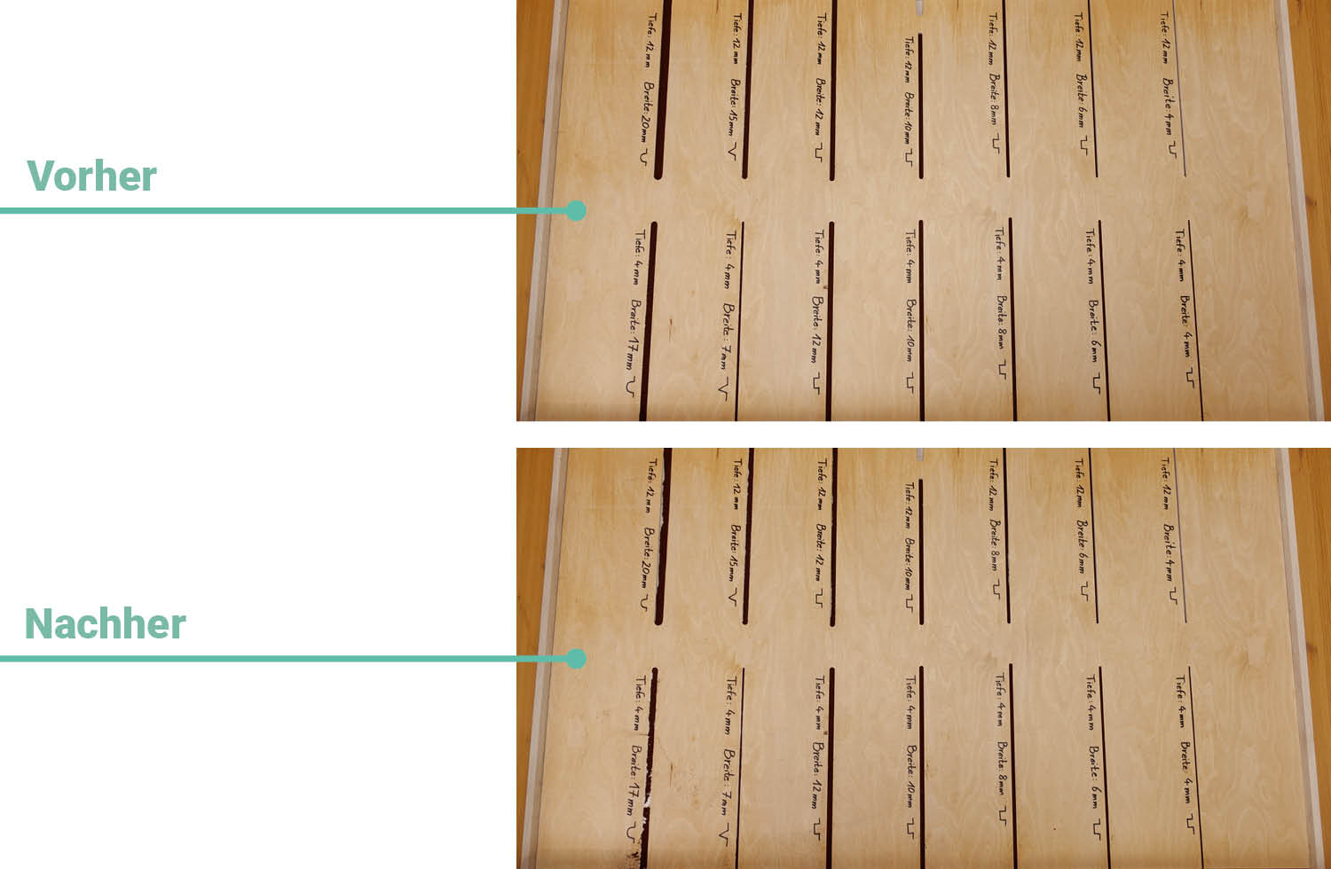 Bosch Spotless Max Cam Saugen Fugen