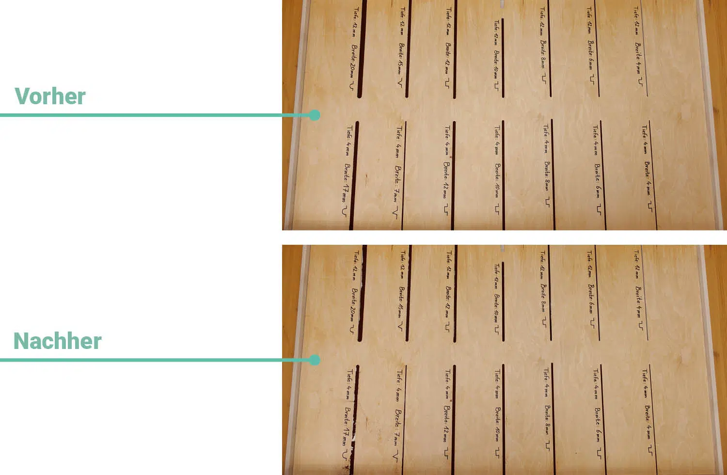 Bosch Spotless Max Cam Saugen Fugen