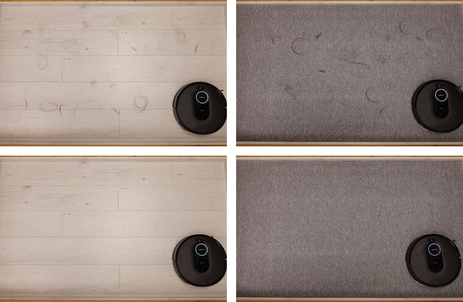 Bosch Spotless Max Cam Saugen haare