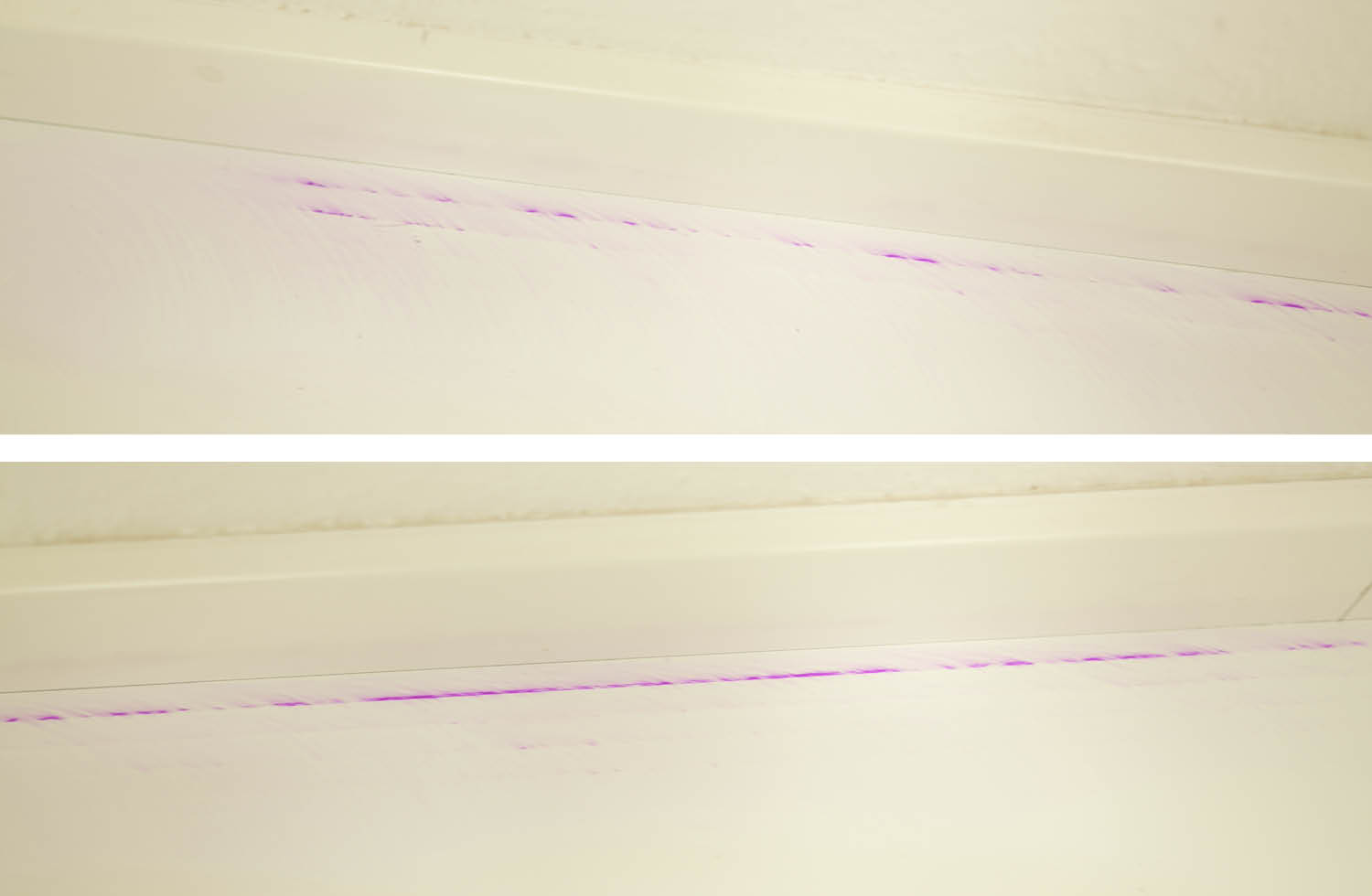 Bosch Spotless Max Cam Wischen Rand