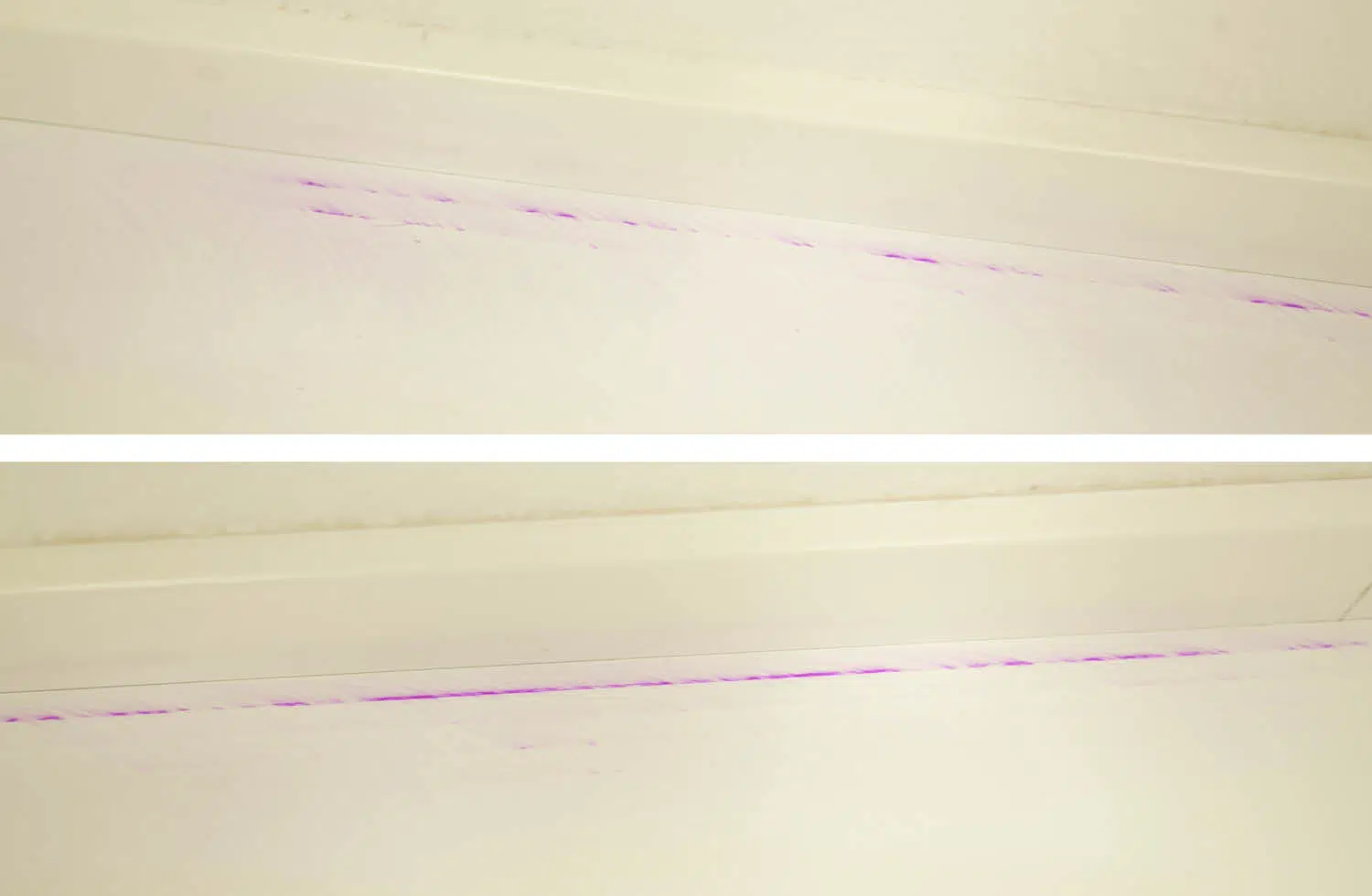 Bosch Spotless Max Cam Wischen Rand