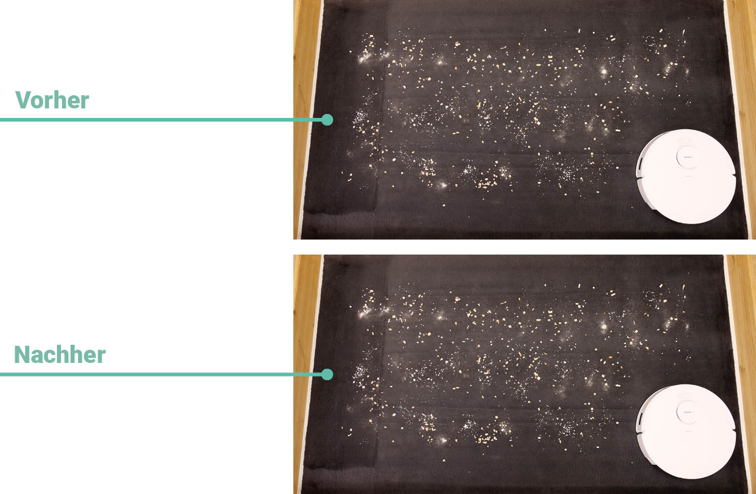 Bosch Spotless + Saugen Teppich hoch