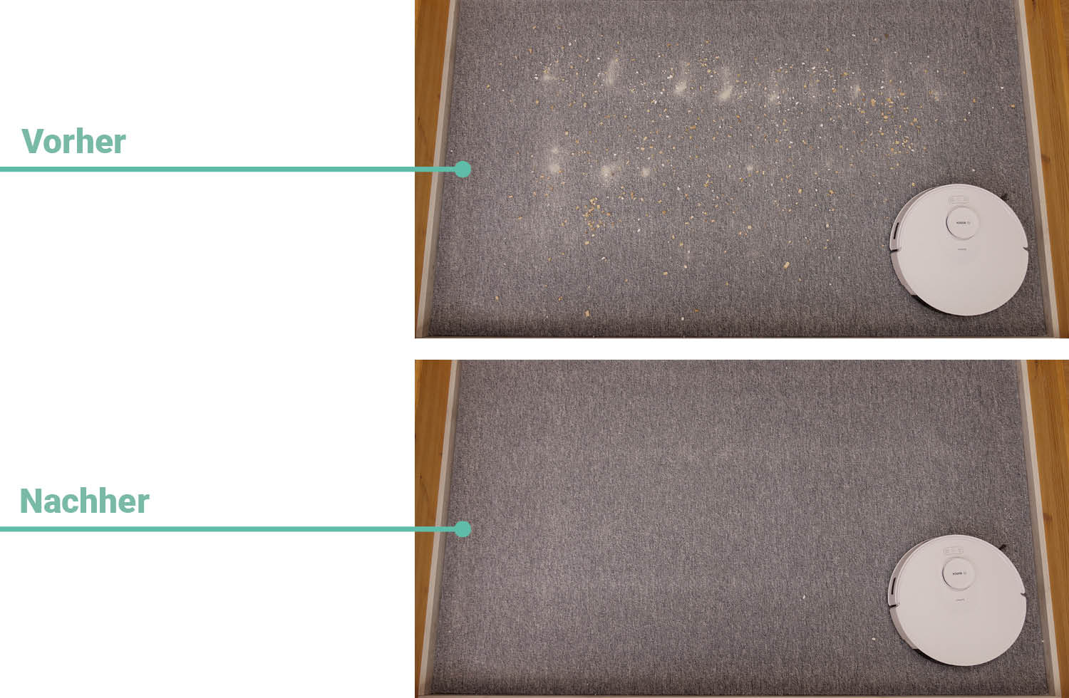 Bosch Spotless + Saugen Teppich