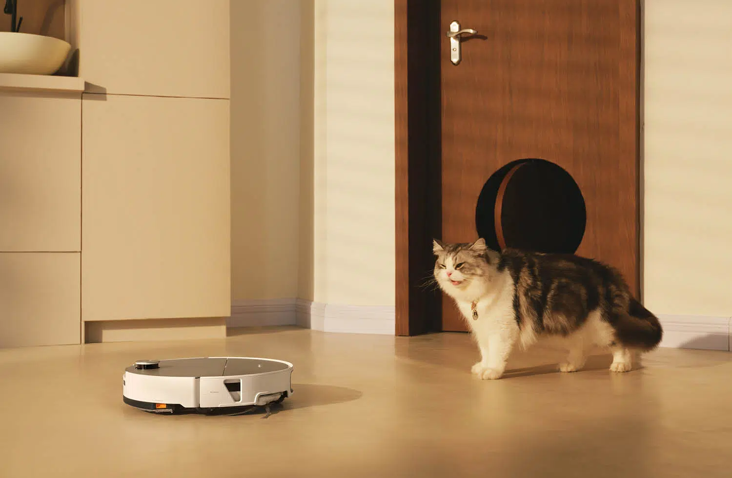 Roborock Saros 20 Sonic Bild 2