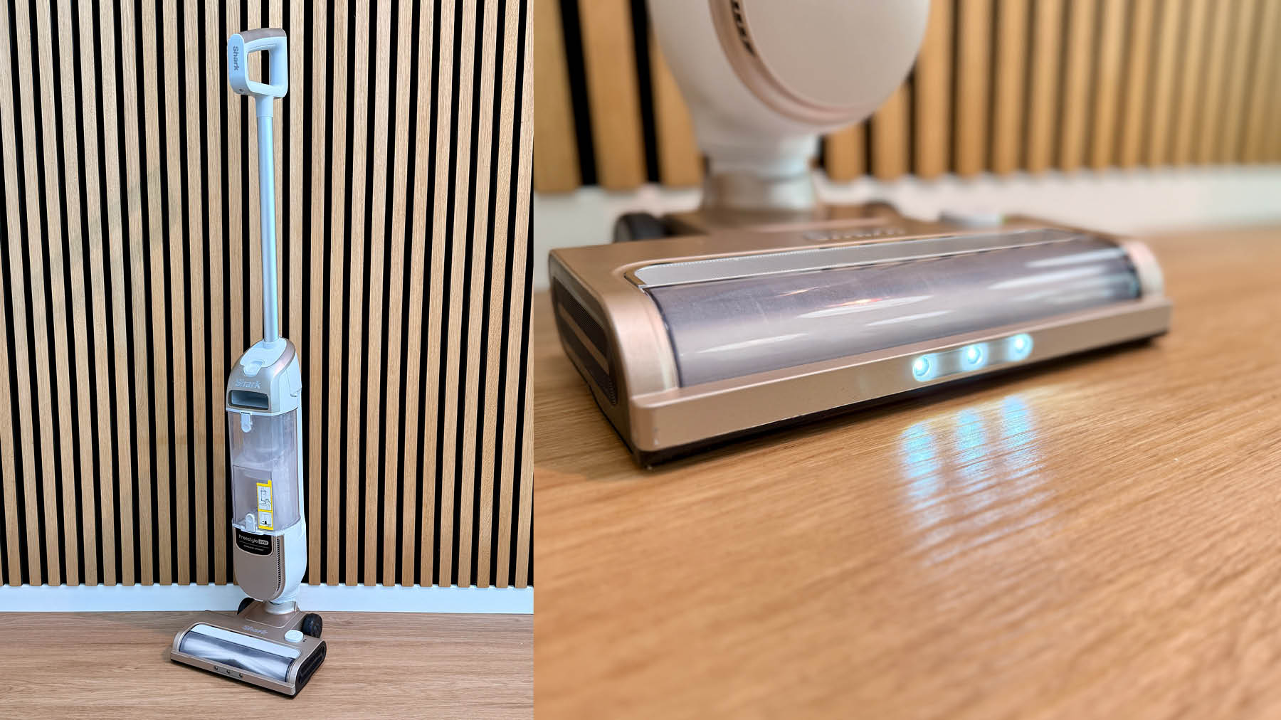 Der Test des Shark freestyle Max