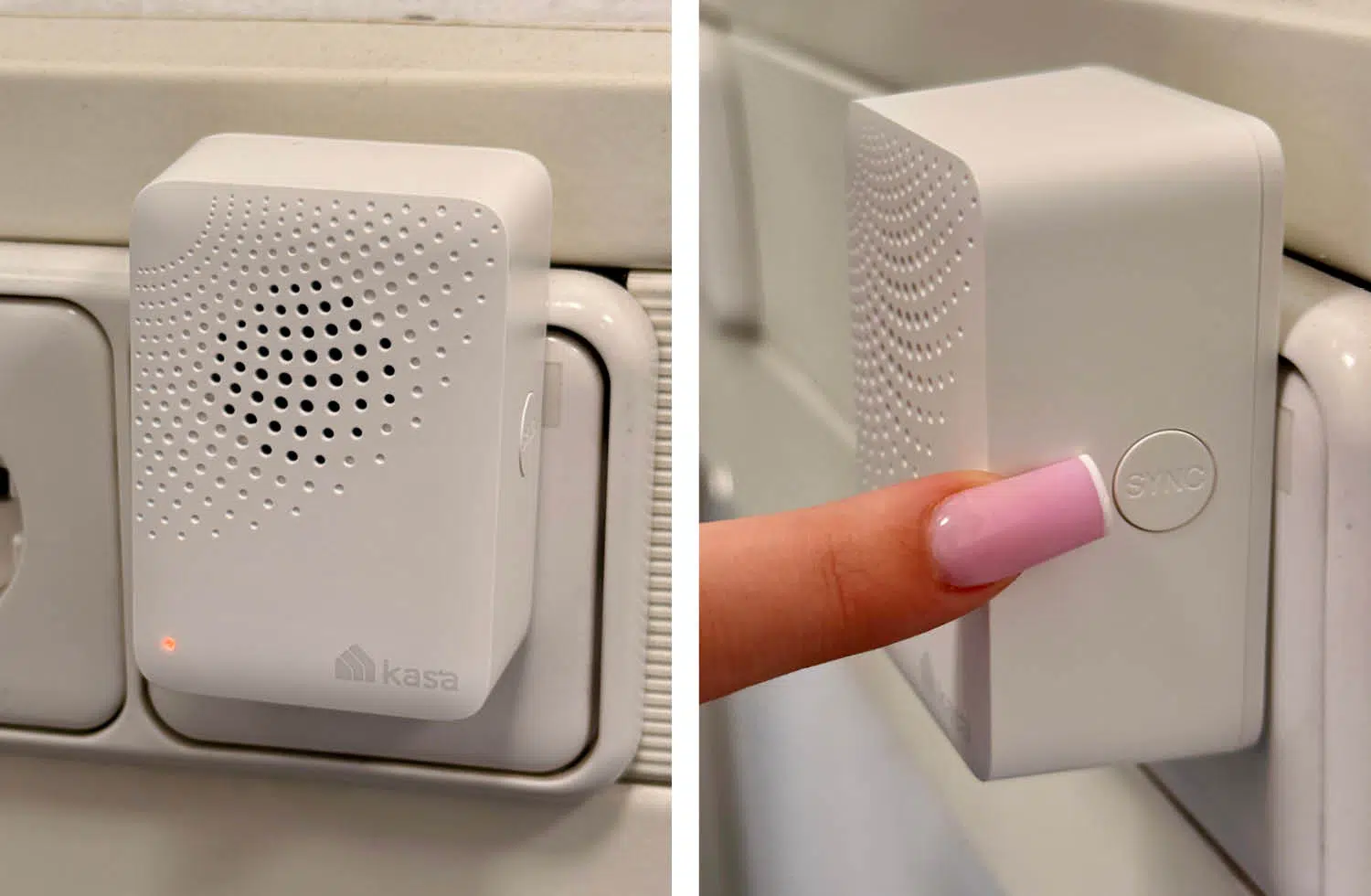 Die TP-Link Bridge