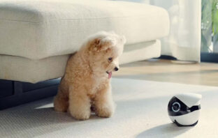 Enabot bringt ROLA Mini nach Deutschland