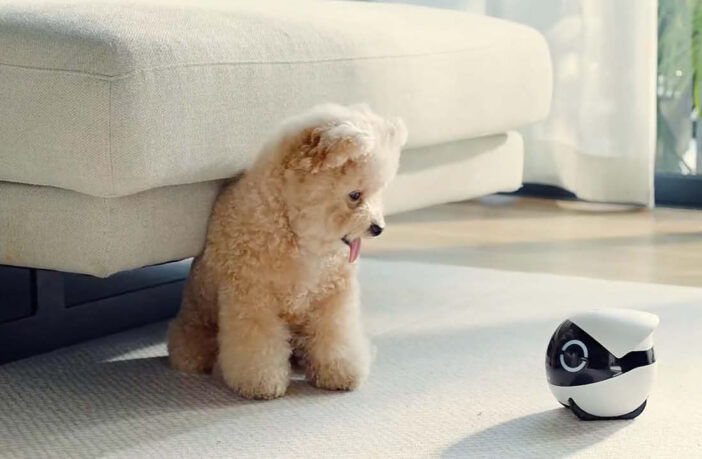 Enabot bringt ROLA Mini nach Deutschland