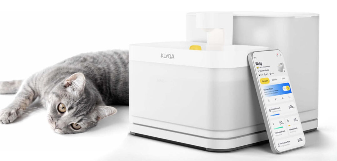 Das Unternehmen KLYQA bringt mit Welly einen intelligenten Trinkbrunnen für Katzen und kleine Hunde auf den Markt.