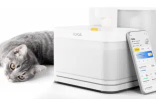 Das Unternehmen KLYQA bringt mit Welly einen intelligenten Trinkbrunnen für Katzen und kleine Hunde auf den Markt.