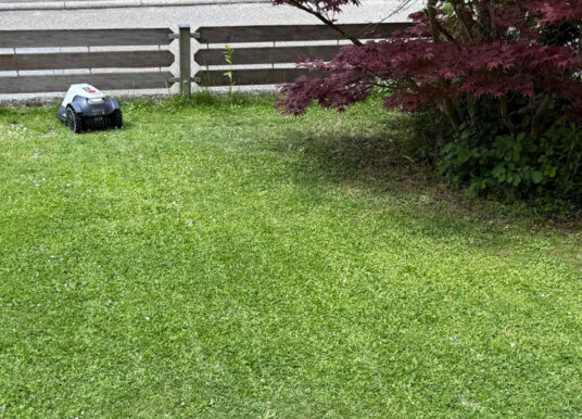 Ein Mähroboter für kleine Flächen – Lohnt sich das?