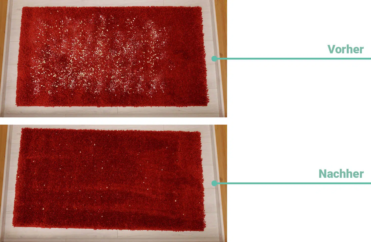 Reinigungsleistung Shark Freestyle Max Teppichboden