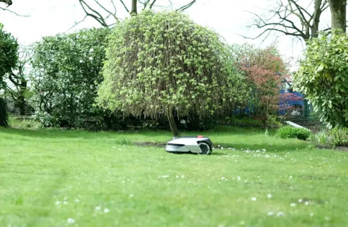 Ab welcher Größe lohnt sich ein Mähroboter?