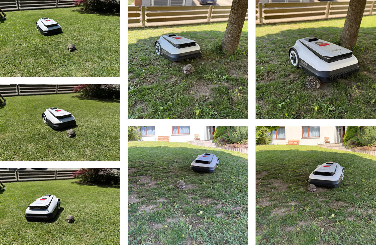 in unseren Test-Videos für Mähroboter führen wir auch immer einen Igeltest durch.