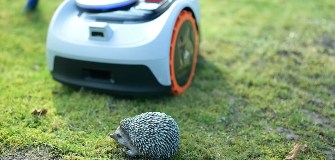 In unseren Test-Videos für Mähroboter führen wir auch immer einen Igeltest durch.