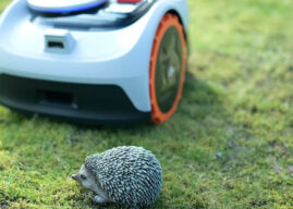 Mähroboter Nachtfahrverbot | Was gilt jetzt?