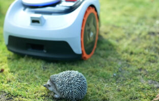 In unseren Test-Videos für Mähroboter führen wir auch immer einen Igeltest durch.