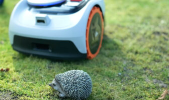 In unseren Test-Videos für Mähroboter führen wir auch immer einen Igeltest durch.