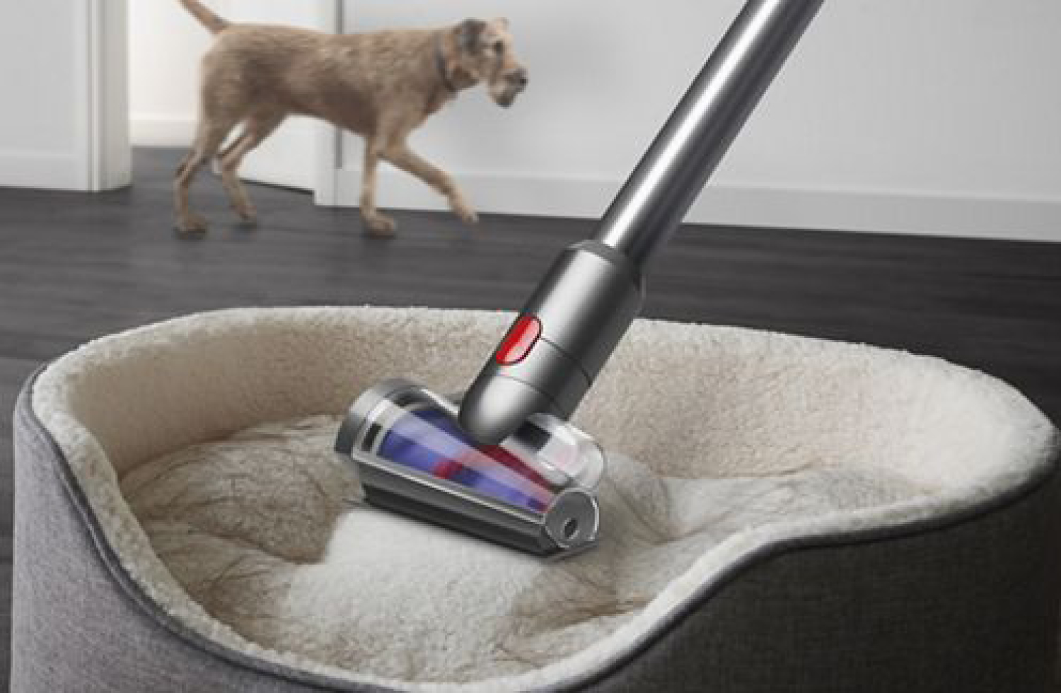 Ebenfalls Teil der Dyson Family Offers ist der Dyson V12 Detect Slim Absolute