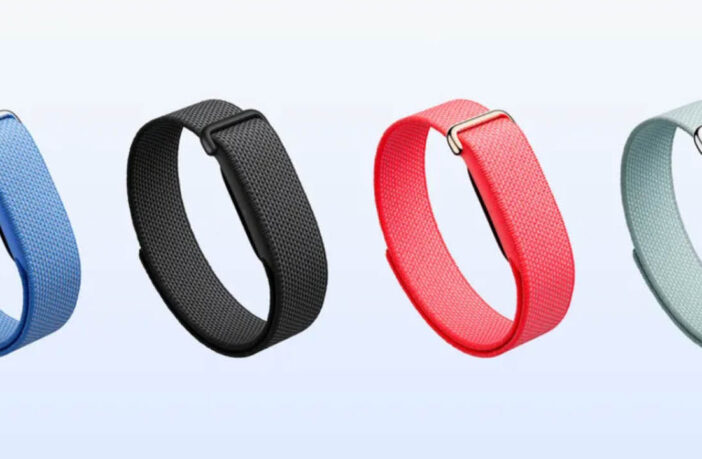 Fitbit Air