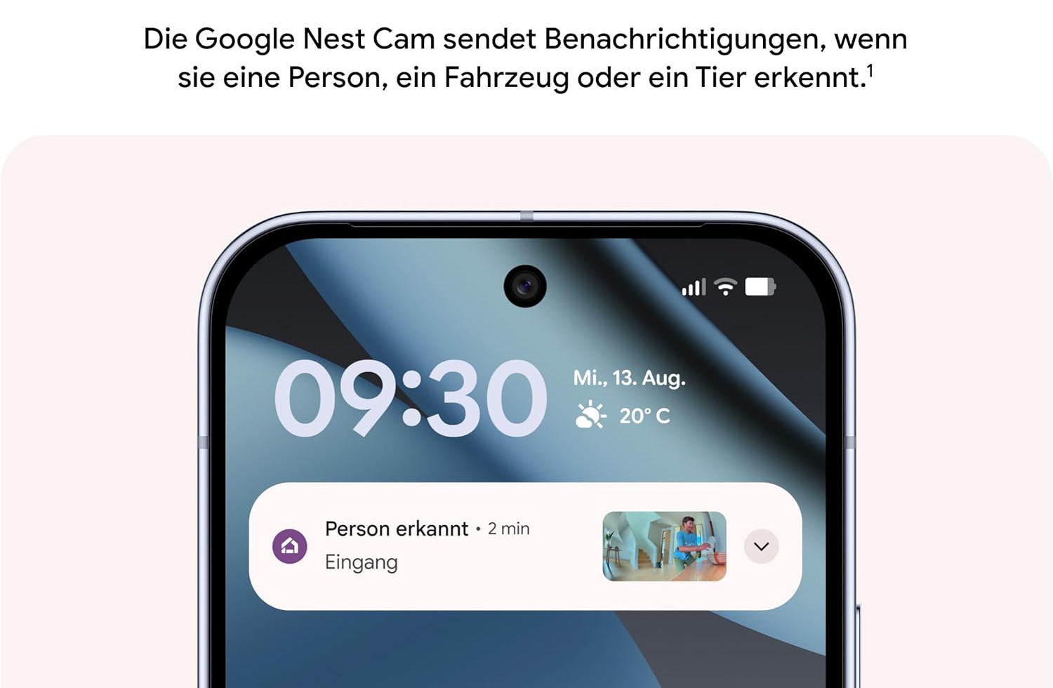 Google Home erhält Pet Memory: Nest-Kameras können Haustiere künftig beim Namen melden.