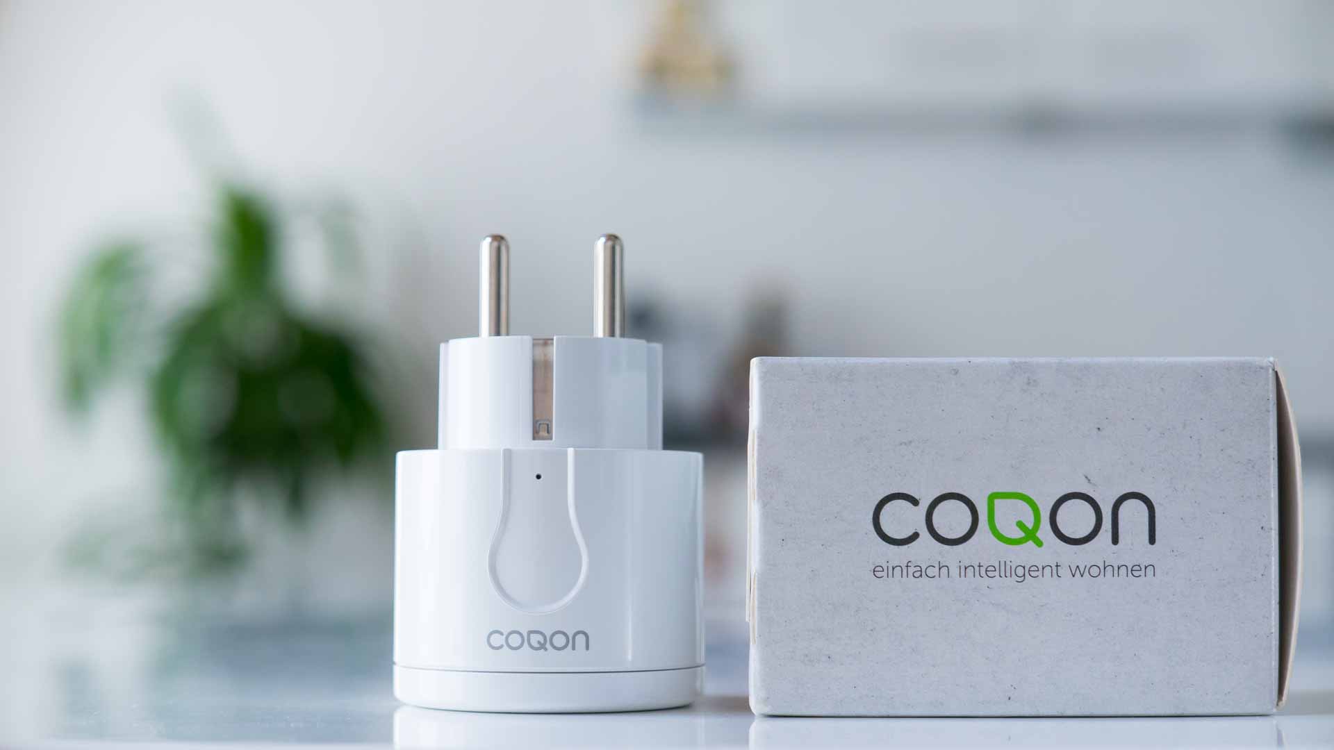 COQON-Zwischenstecker-Logo