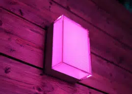 Philips Hue 5.72 | Fehlerbehebungen und Energie-Umfrage