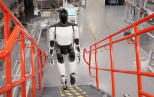 Tesla Optimus humanoider Roboter KI Training